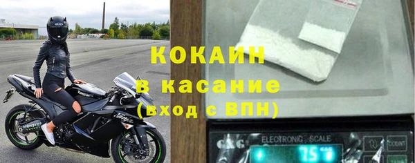 твердый Иннополис