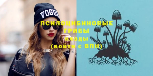 твердый Иннополис