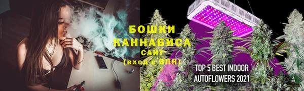 твердый Иннополис