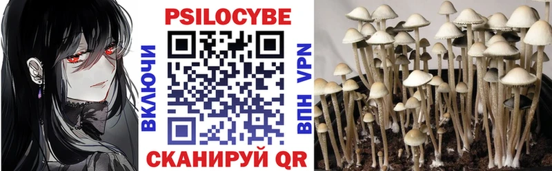 Купить где  Кущёвская  Псилоцибиновые грибы мицелий 